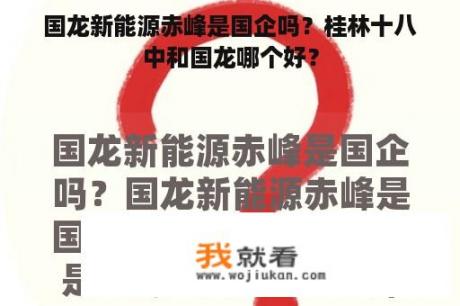 国龙新能源赤峰是国企吗？桂林十八中和国龙哪个好？