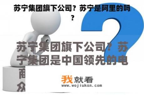 苏宁集团旗下公司？苏宁是阿里的吗？