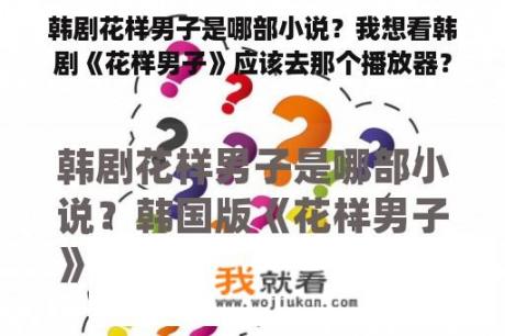 韩剧花样男子是哪部小说？我想看韩剧《花样男子》应该去那个播放器？