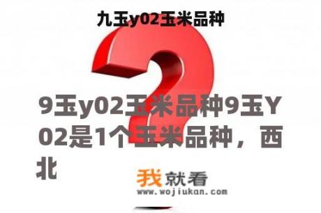 九玉y02玉米品种