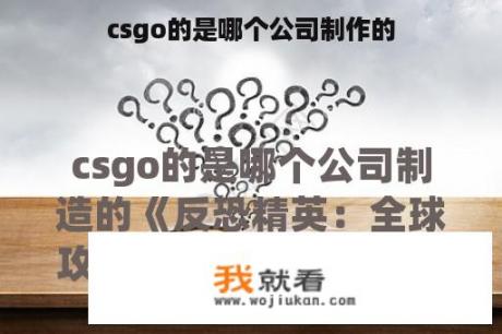 csgo的是哪个公司制作的