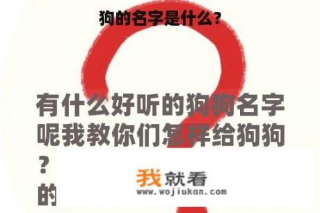 狗的名字是什么？