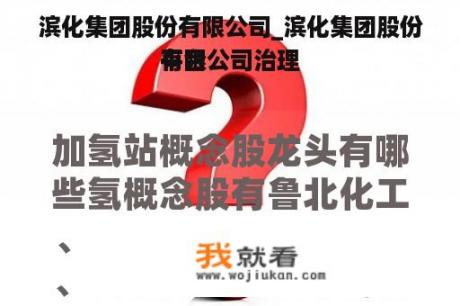 滨化集团股份有限公司_滨化集团股份有限公司治理
平台