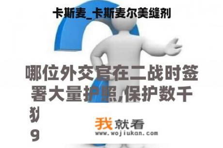 卡斯麦_卡斯麦尔美缝剂