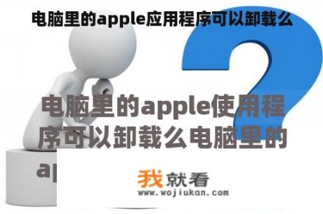 电脑里的apple应用程序可以卸载么