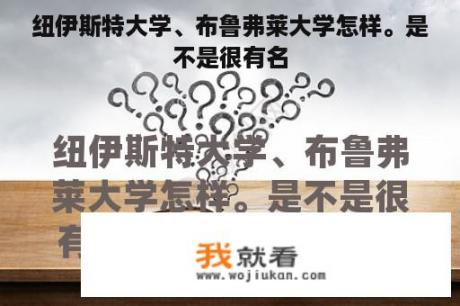 纽伊斯特大学、布鲁弗莱大学怎样。是不是很有名