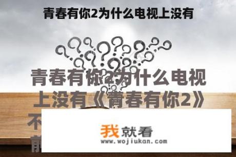 青春有你2为什么电视上没有