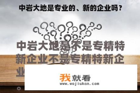 中岩大地是专业的、新的企业吗？