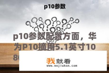 p10参数
