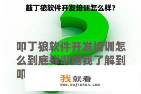 敲丁狼软件开发培训怎么样？