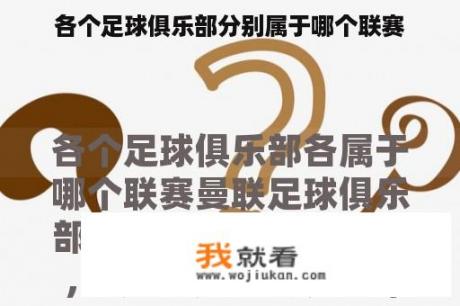 各个足球俱乐部分别属于哪个联赛