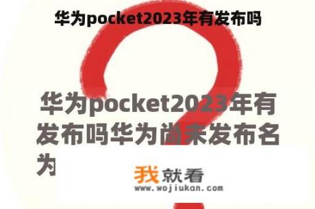 华为pocket2023年有发布吗