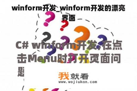 winform开发_winform开发的漂亮界面