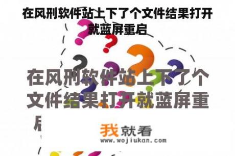 在风刑软件站上下了个文件结果打开就蓝屏重启