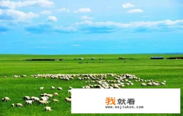 如何看待旅游业当前的严酷形势