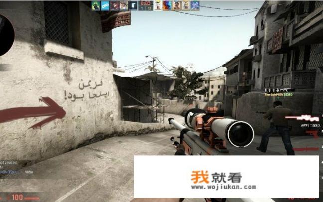 csgo为什么是单机游戏