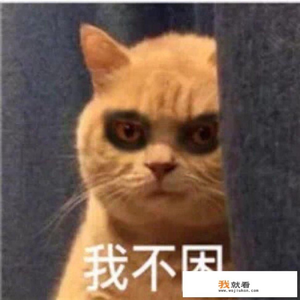 有哪些搞笑又可爱的文案让你看1眼就喜欢