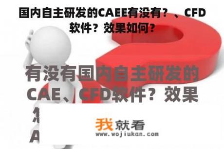 国内自主研发的CAEE有没有？、CFD软件？效果如何？