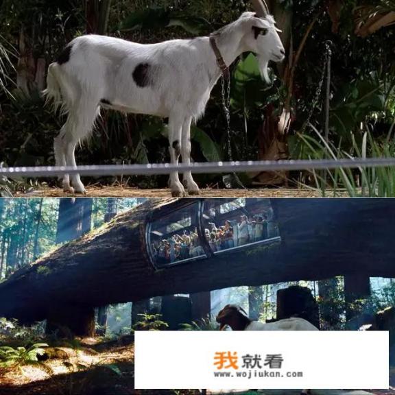 如何评价电影《侏罗纪世界》