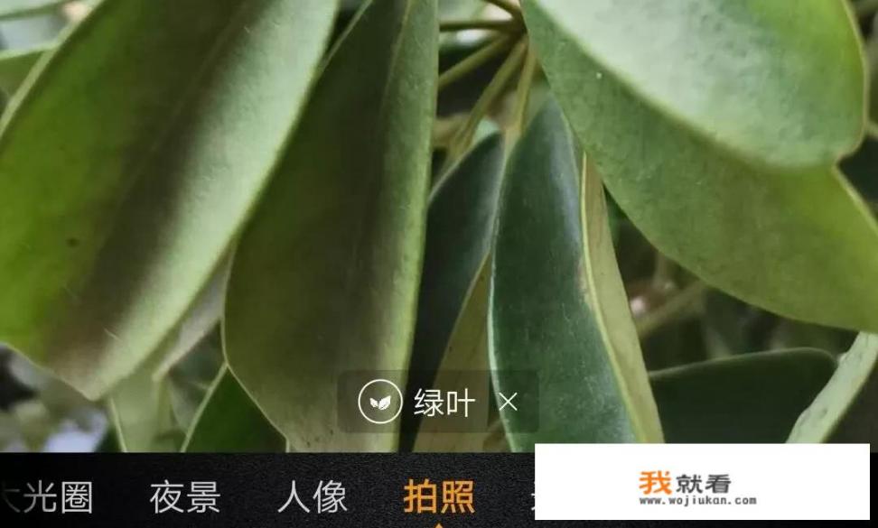 华为手机最好的是哪一款