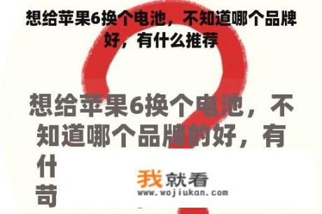 想给苹果6换个电池，不知道哪个品牌好，有什么推荐