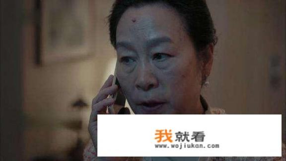 《燃烧》高风的调查已接近真相，为何赵月娥却不再派人去杀他，只让许家福去杀蔡亮