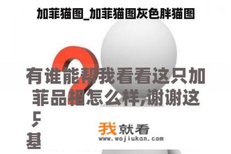 加菲猫图_加菲猫图灰色胖猫图