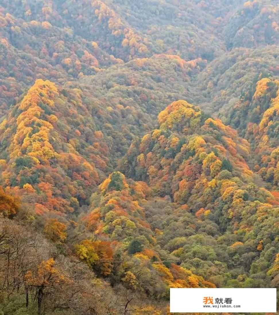 疫情反复令旅游业陷入寒冬，旅游人的出路在哪里？应该改行吗