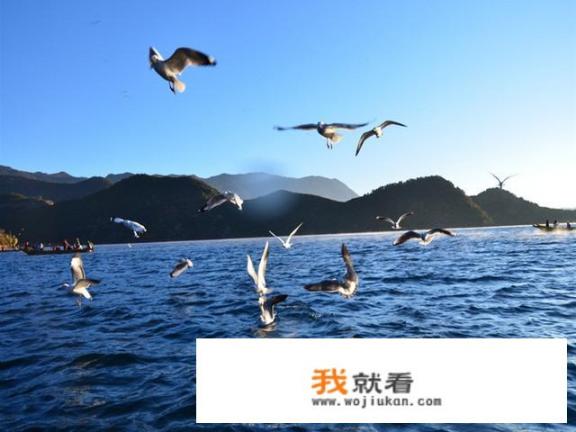 12月去泸沽湖，冷不冷