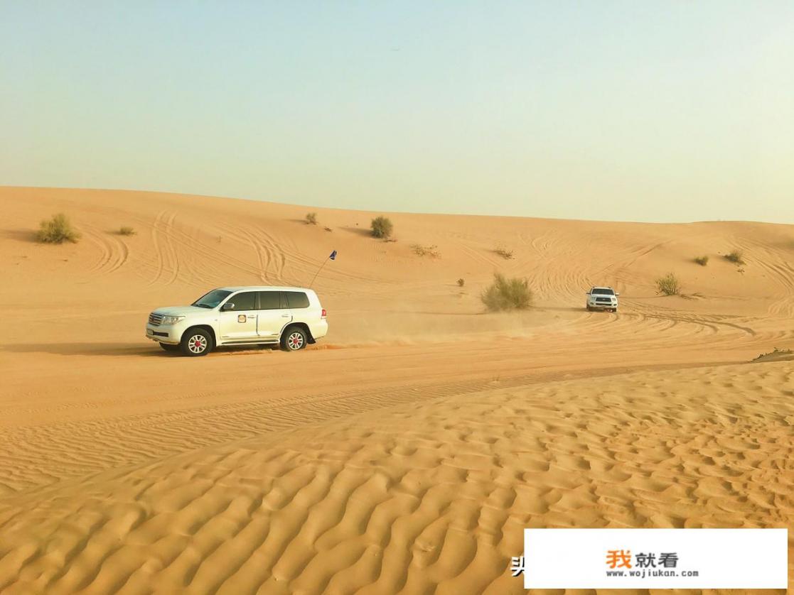 有谁能推荐一下比较好的旅游节目吗