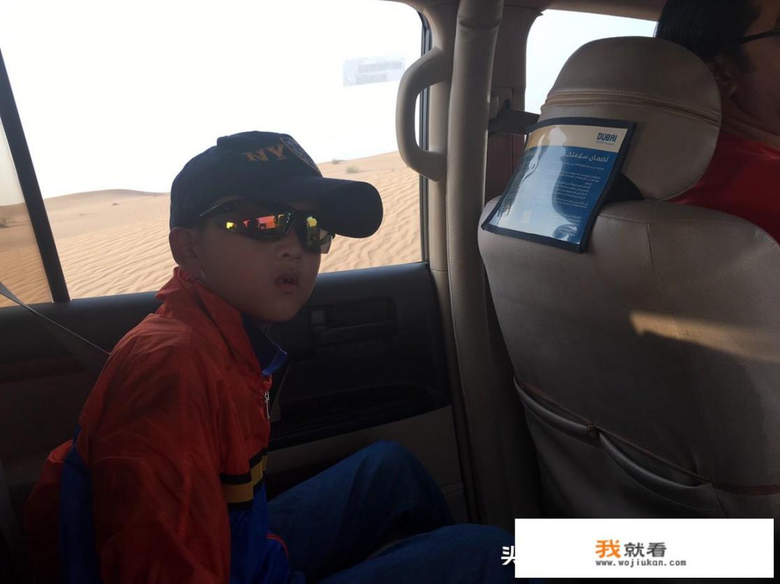 有谁能推荐一下比较好的旅游节目吗