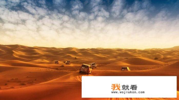 有谁能推荐一下比较好的旅游节目吗
