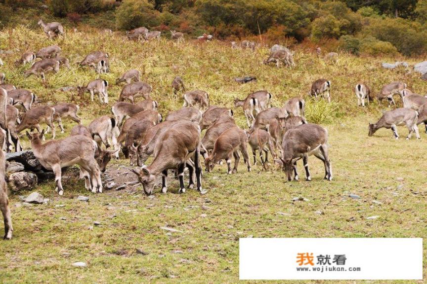 第一次和男友出去旅游要注意什么