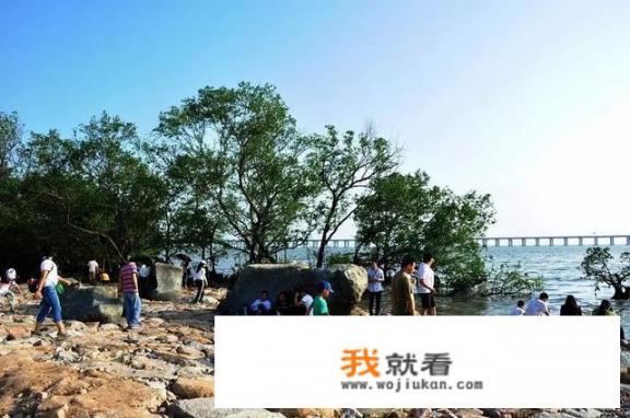 深圳一日游攻略自由行