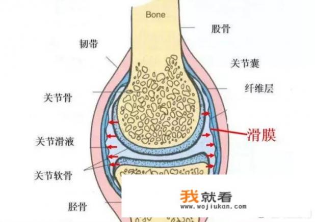 为什么有些人身体里会出现滑膜炎，肌膜炎的症状