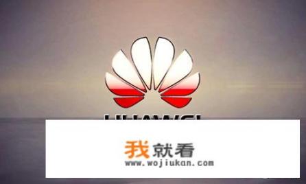 想请教一下，华为的天际通功能在海外使用是否方便？划算吗