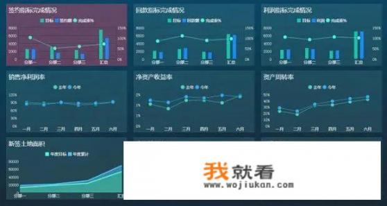 哪个报表软件用的人比较多