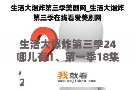 生活大爆炸第三季美剧网_生活大爆炸第三季在线看爱美剧网