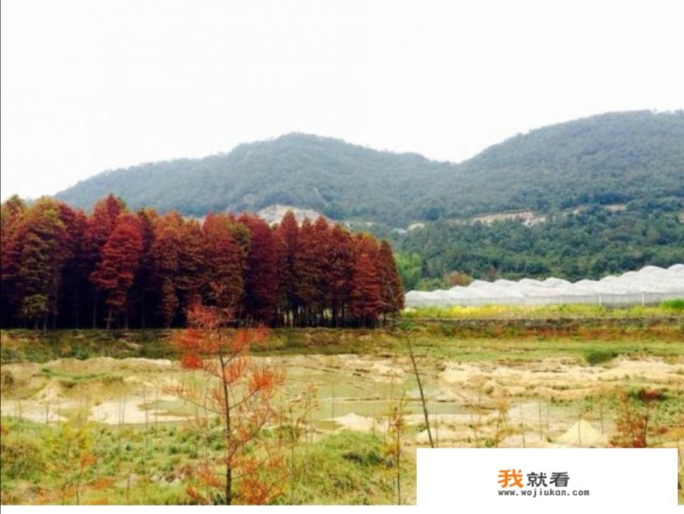 上海周边都有什么可以游玩的地方