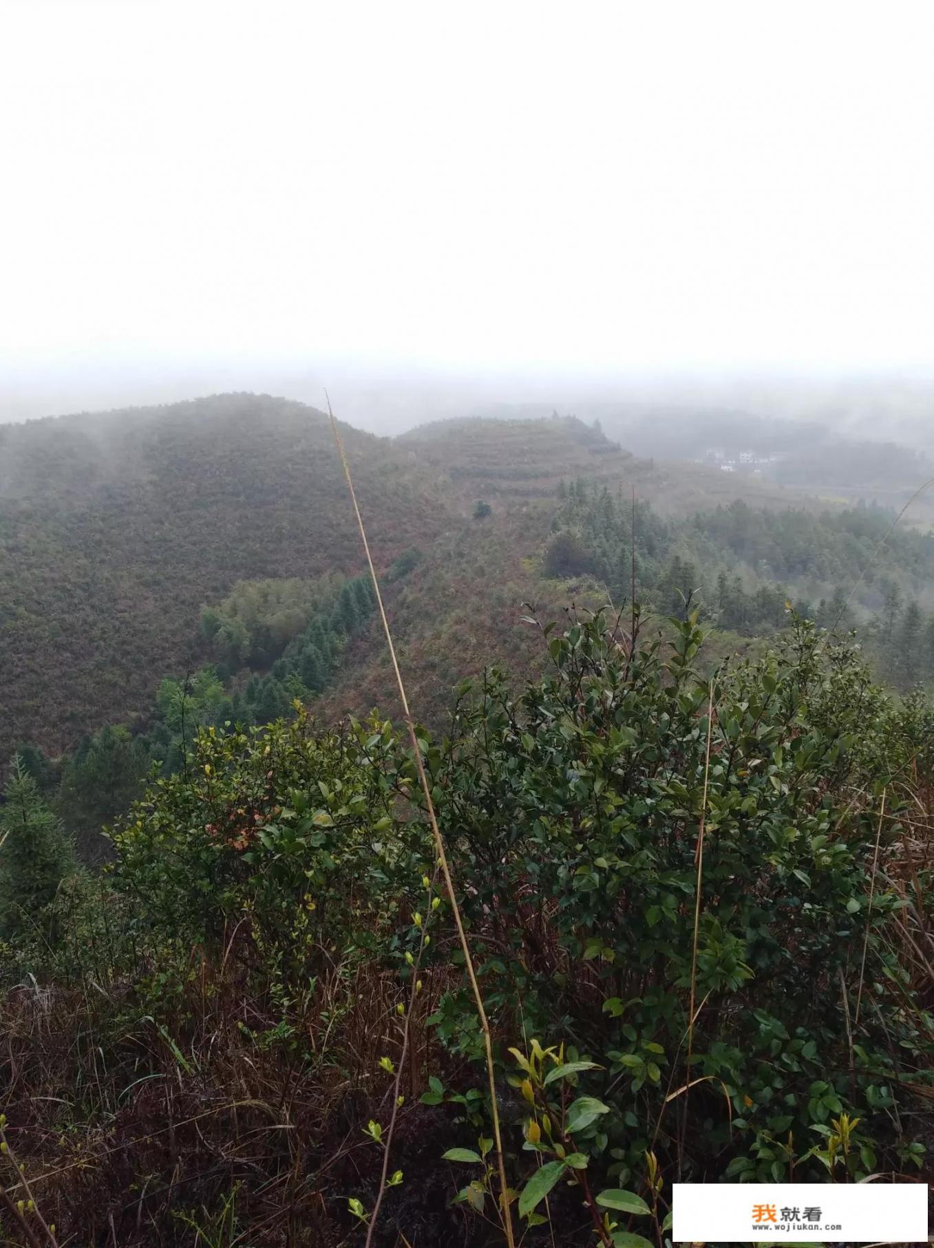 我想去种地养猪，希望四季分明，有什么可以推荐的地方