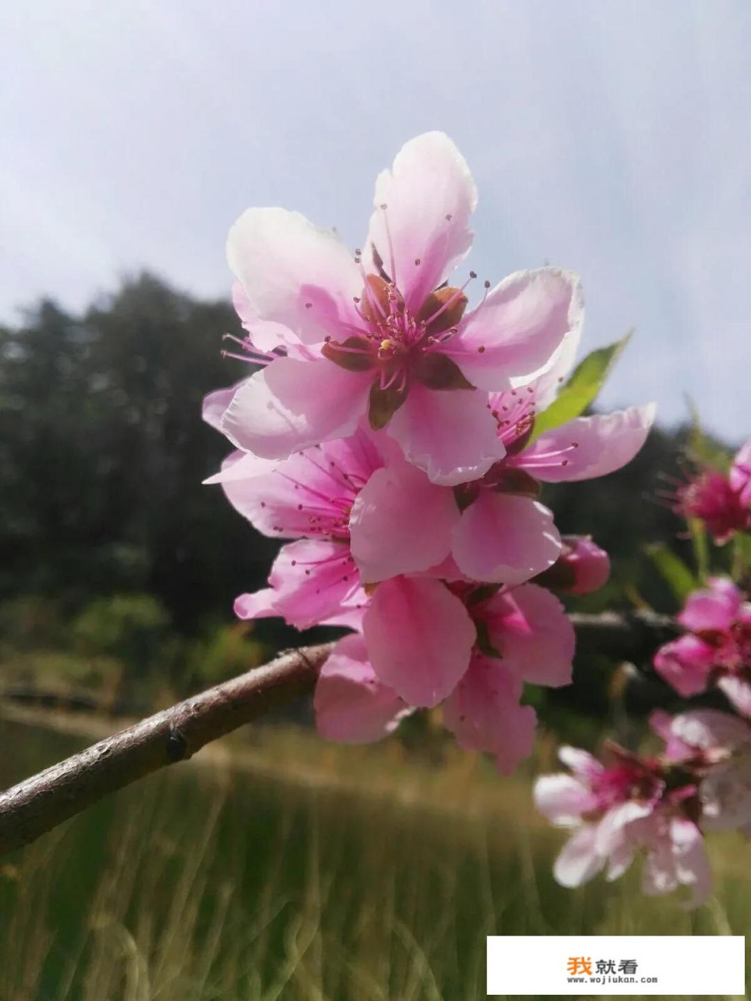 中国疫情基本控制，近期如果想在国内旅游的话，要做好哪些准备