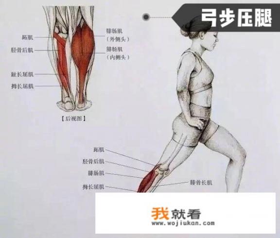 怎样才能瘦小腿肚子