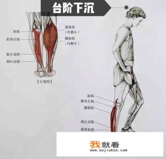 怎样才能瘦小腿肚子