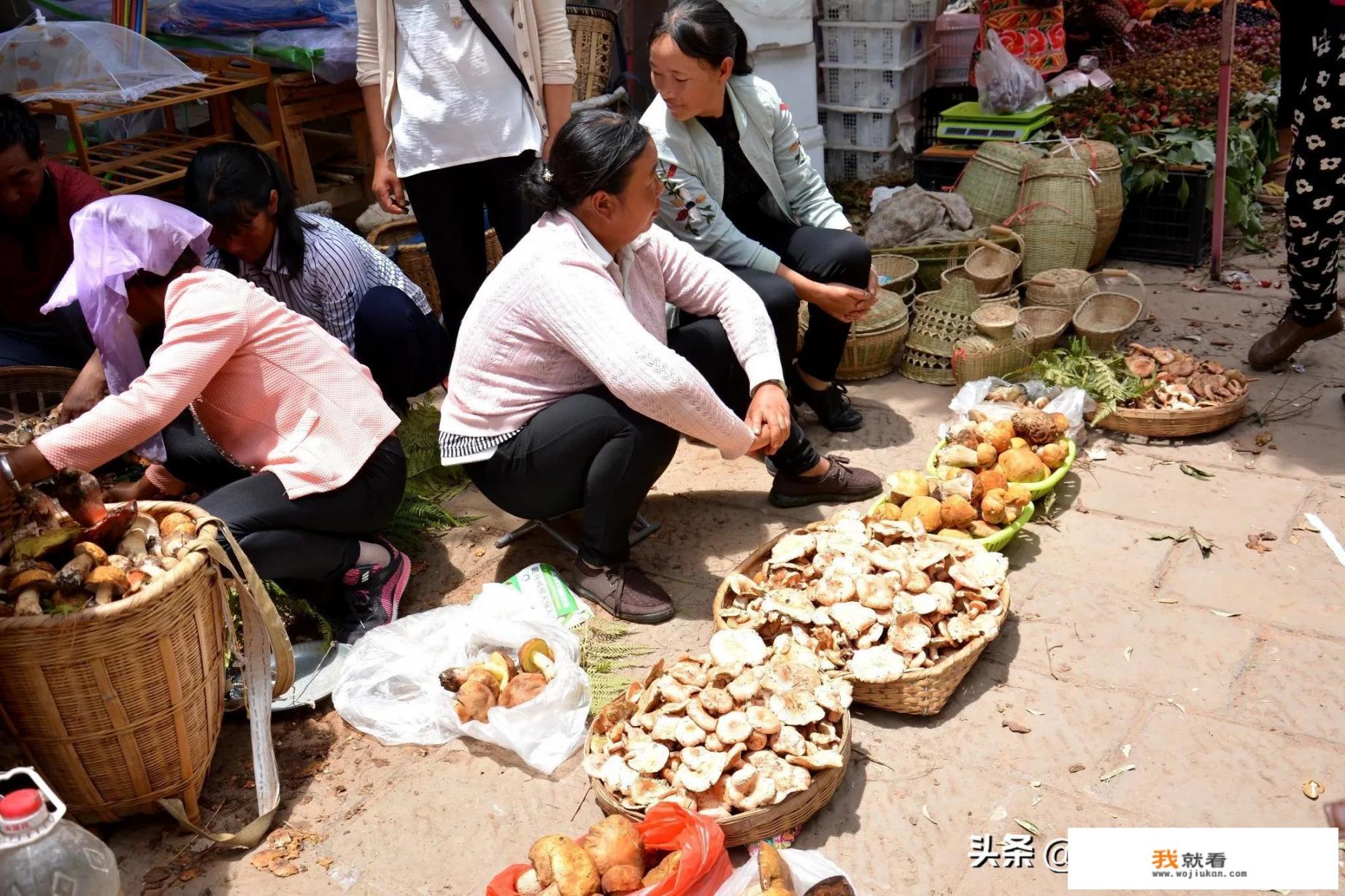 我每次去一个地方旅游，都爱去当地菜市场逛逛。有和我一样的吗