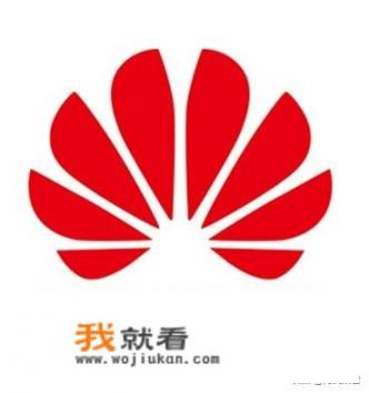 华为成功的模式能不能复制