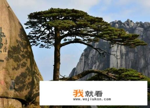 黄山区和黄山是一个地方吗?有什么旅游推荐 黄山区和黄山是一个地方吗?有什么旅游推荐