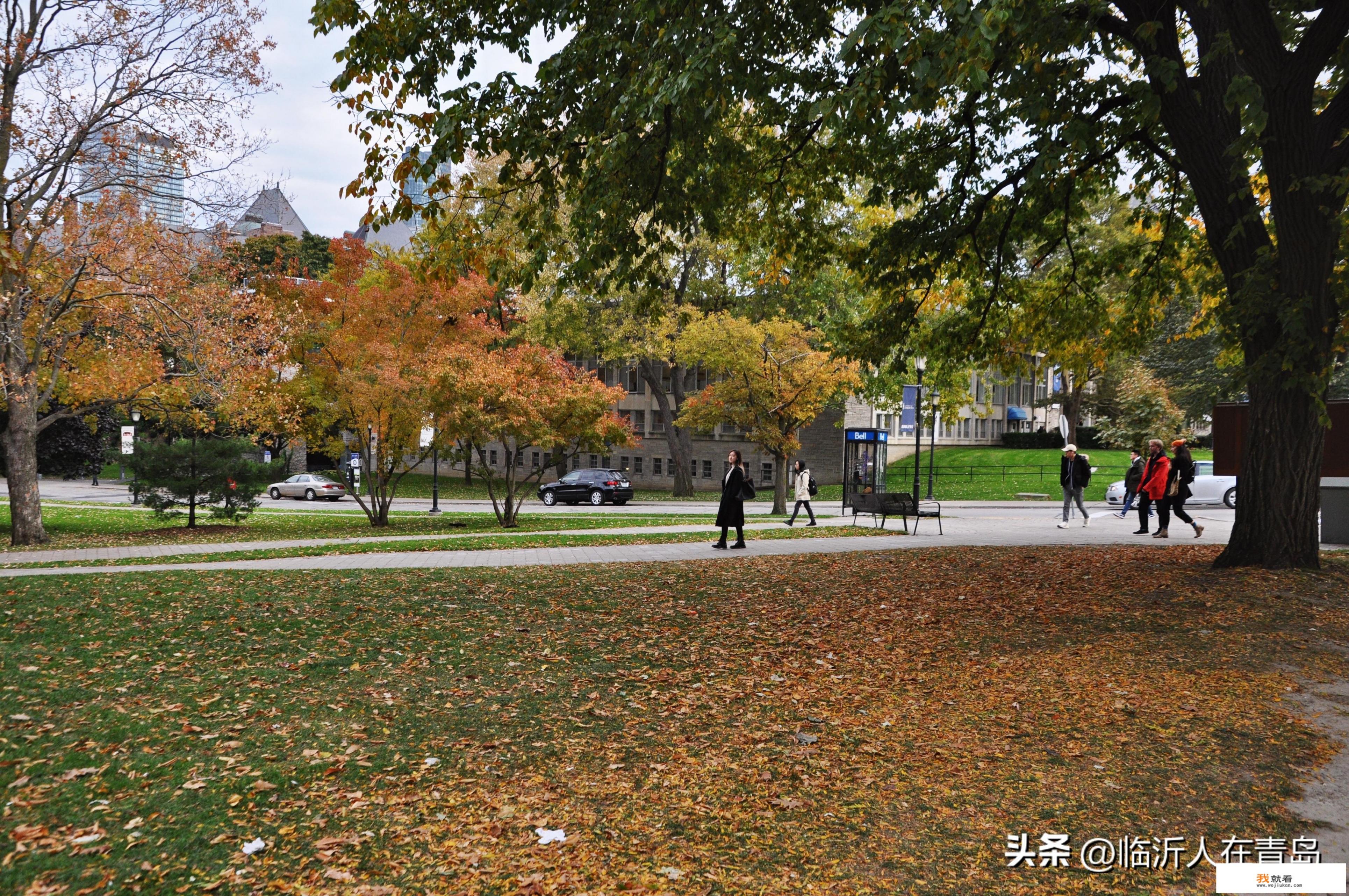 为什么说大一新生入学，揭开了太多家庭的无奈和自卑