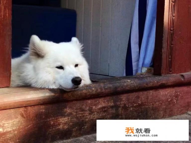 西安到云南丽江游玩攻略大家介绍下