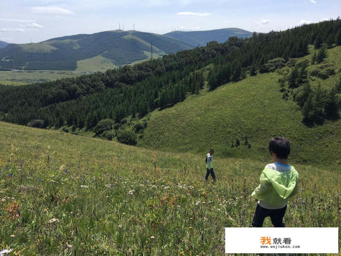 该不该让孩子请假去旅游