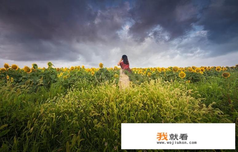 你知道的最有意思最有情趣的打油诗是什么